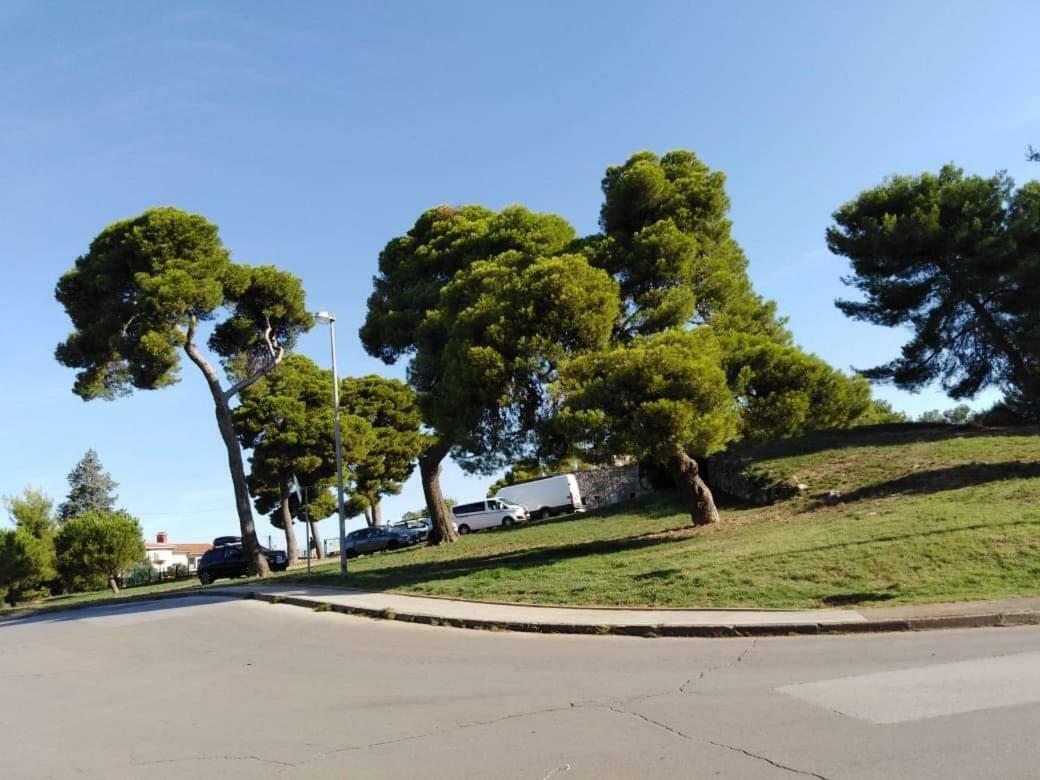 Apartman Miki Pola Esterno foto